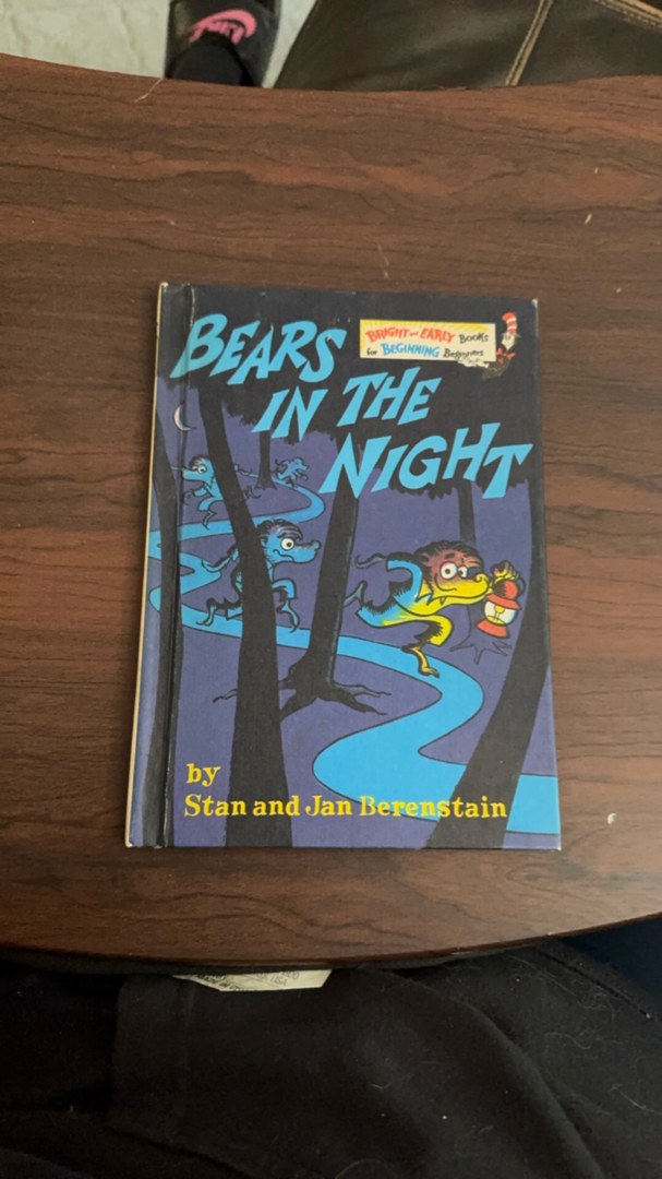 Bears in the Night