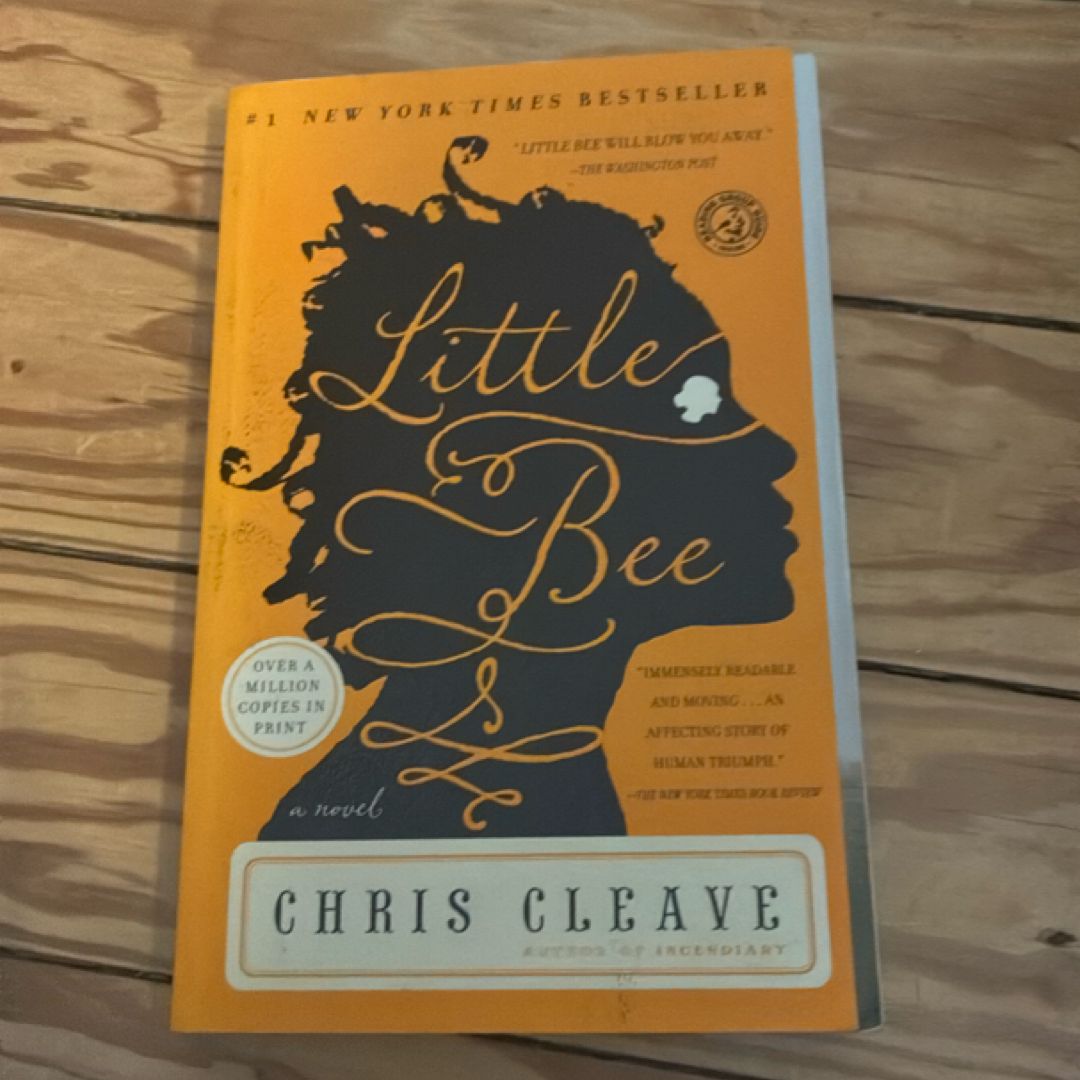 Little Bee