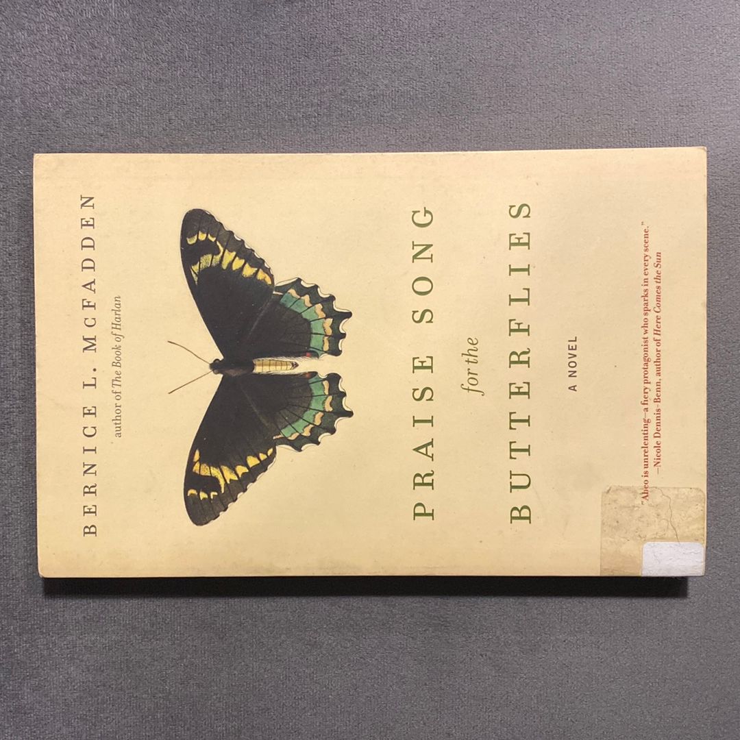 Praise Song for the Butterflies