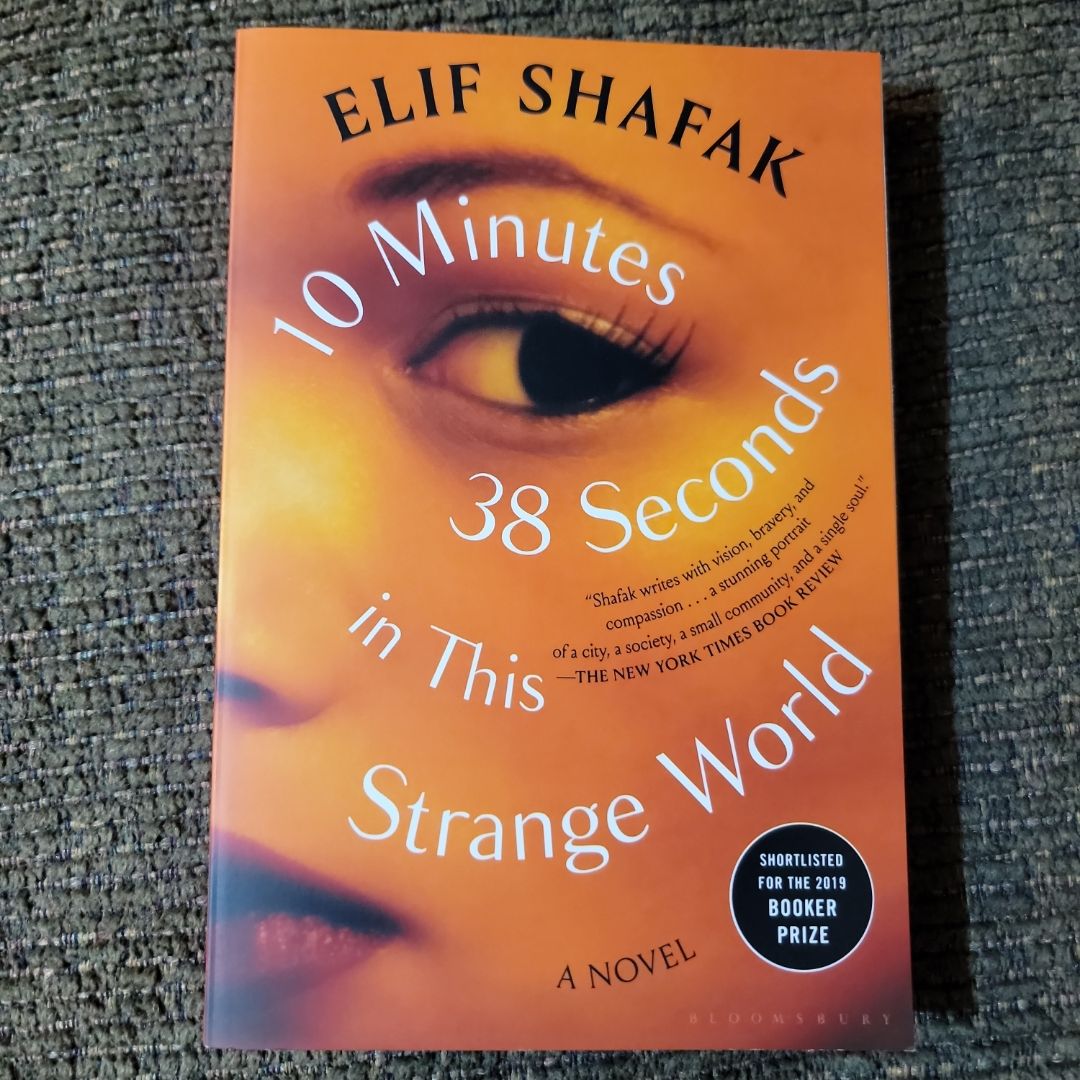 10 Minutes 38 Seconds in This Strange World