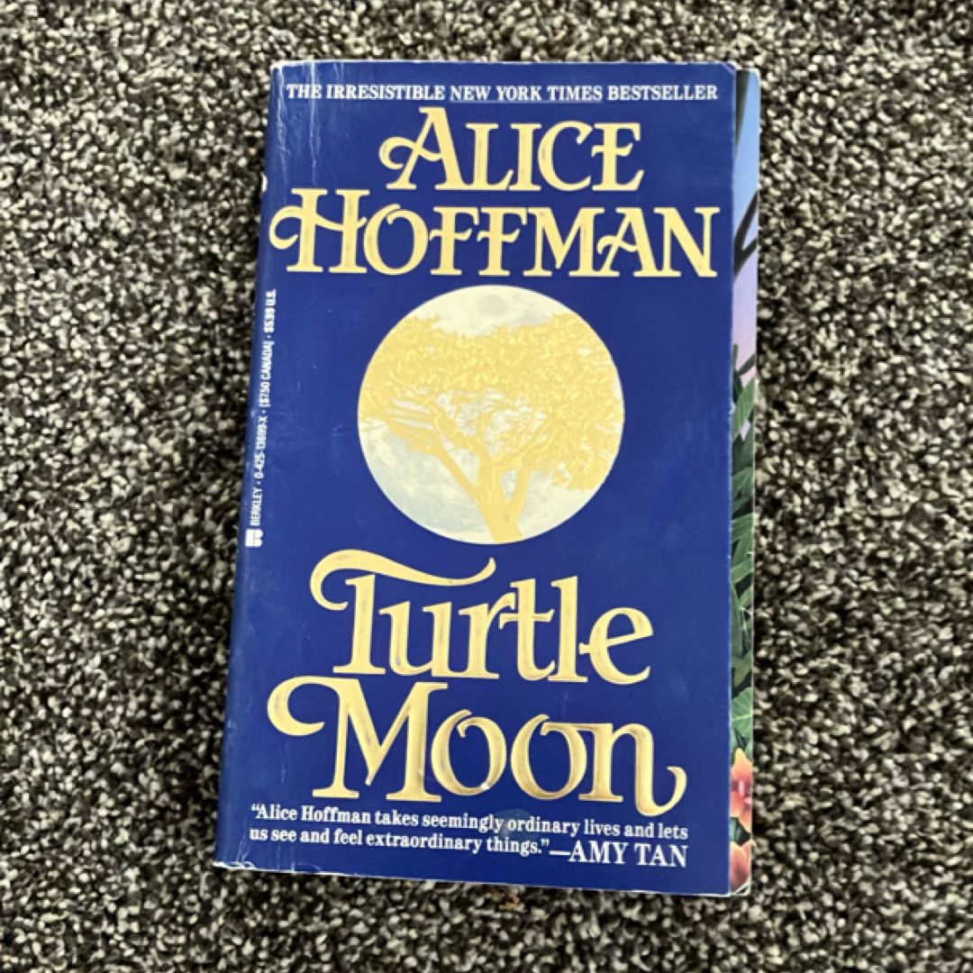Turtle Moon