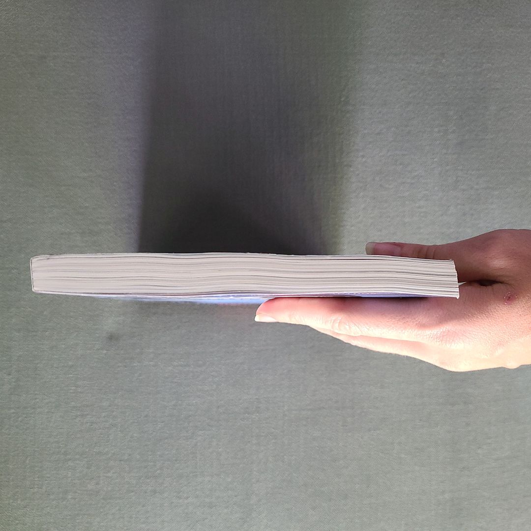 Amulet The Stonekeeper's Curse