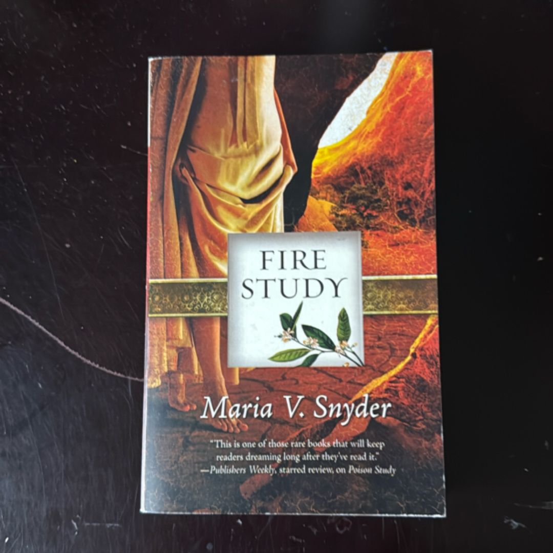 Fire Study