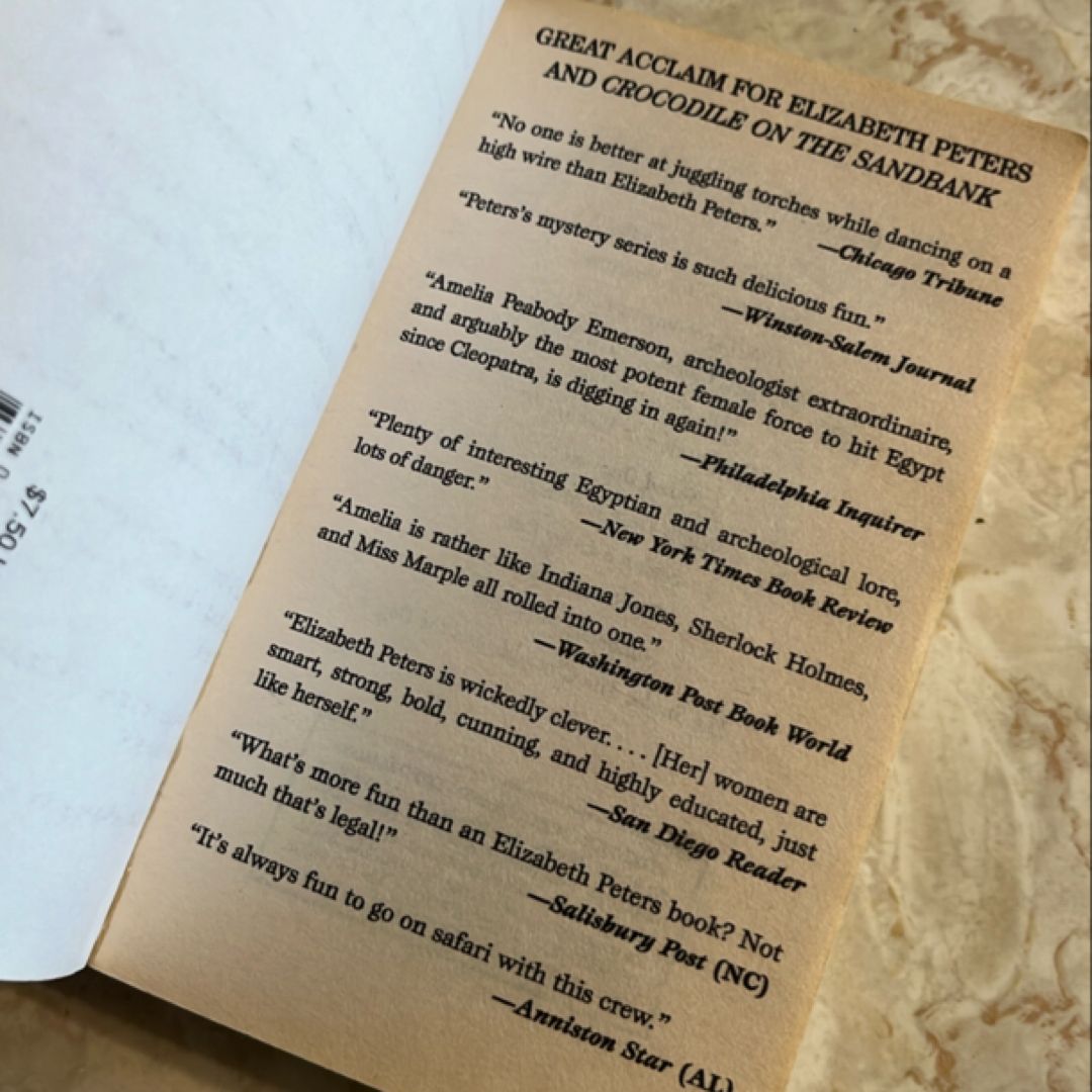 Crocodile on the Sandbank