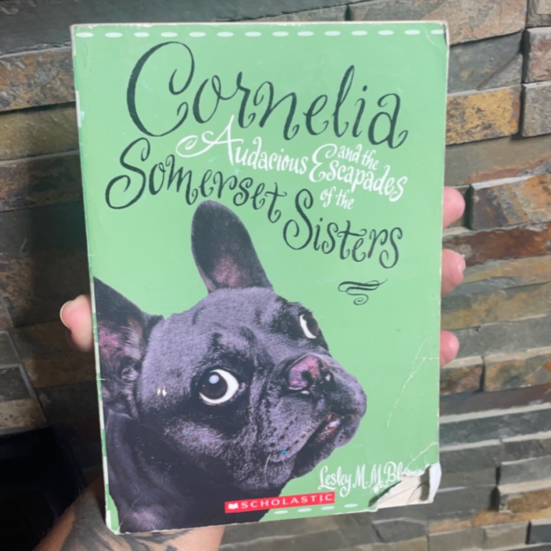 Cornelia Ans the Audacious Escapades of the Somerset Sisters