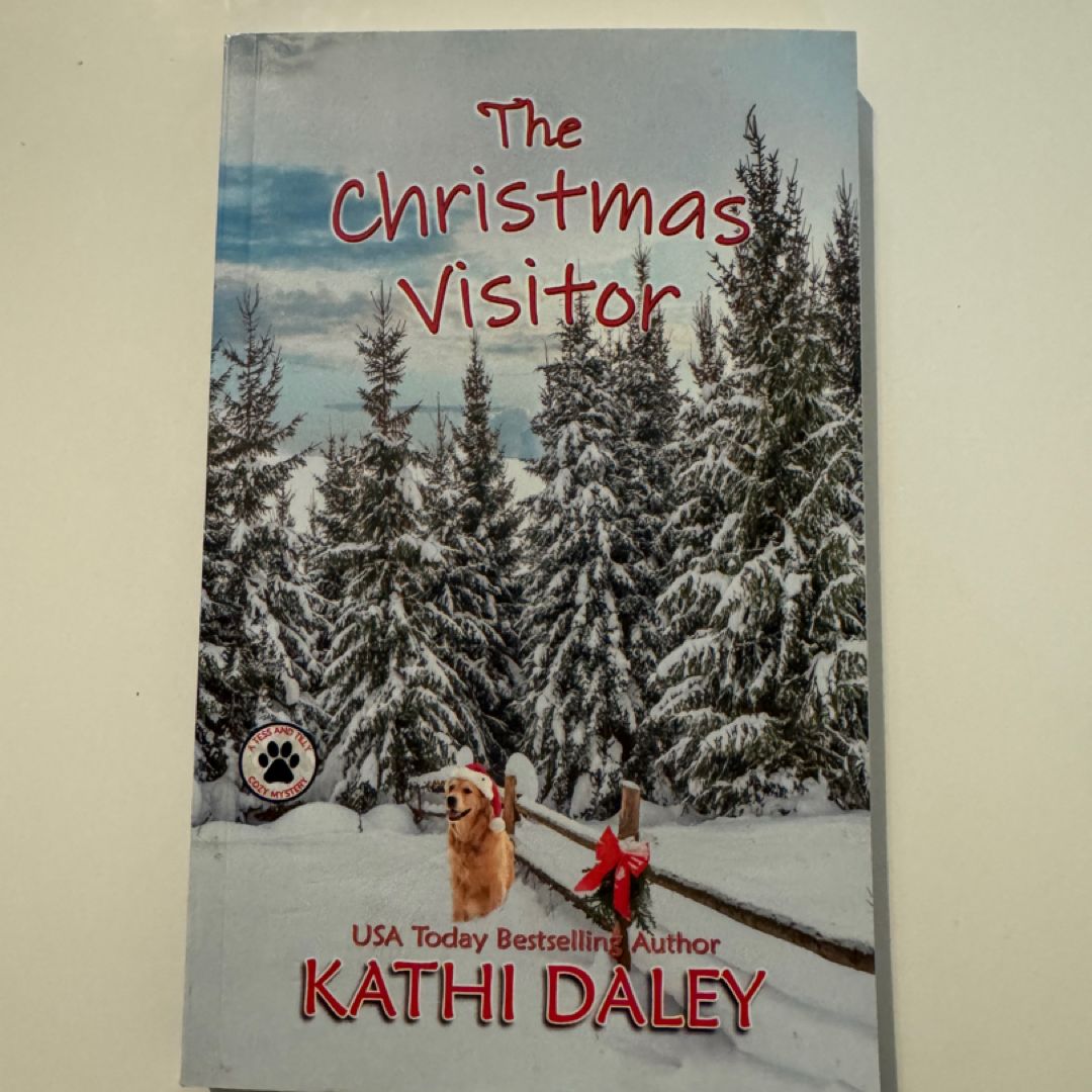The Christmas Visitor: a Cozy Mystery