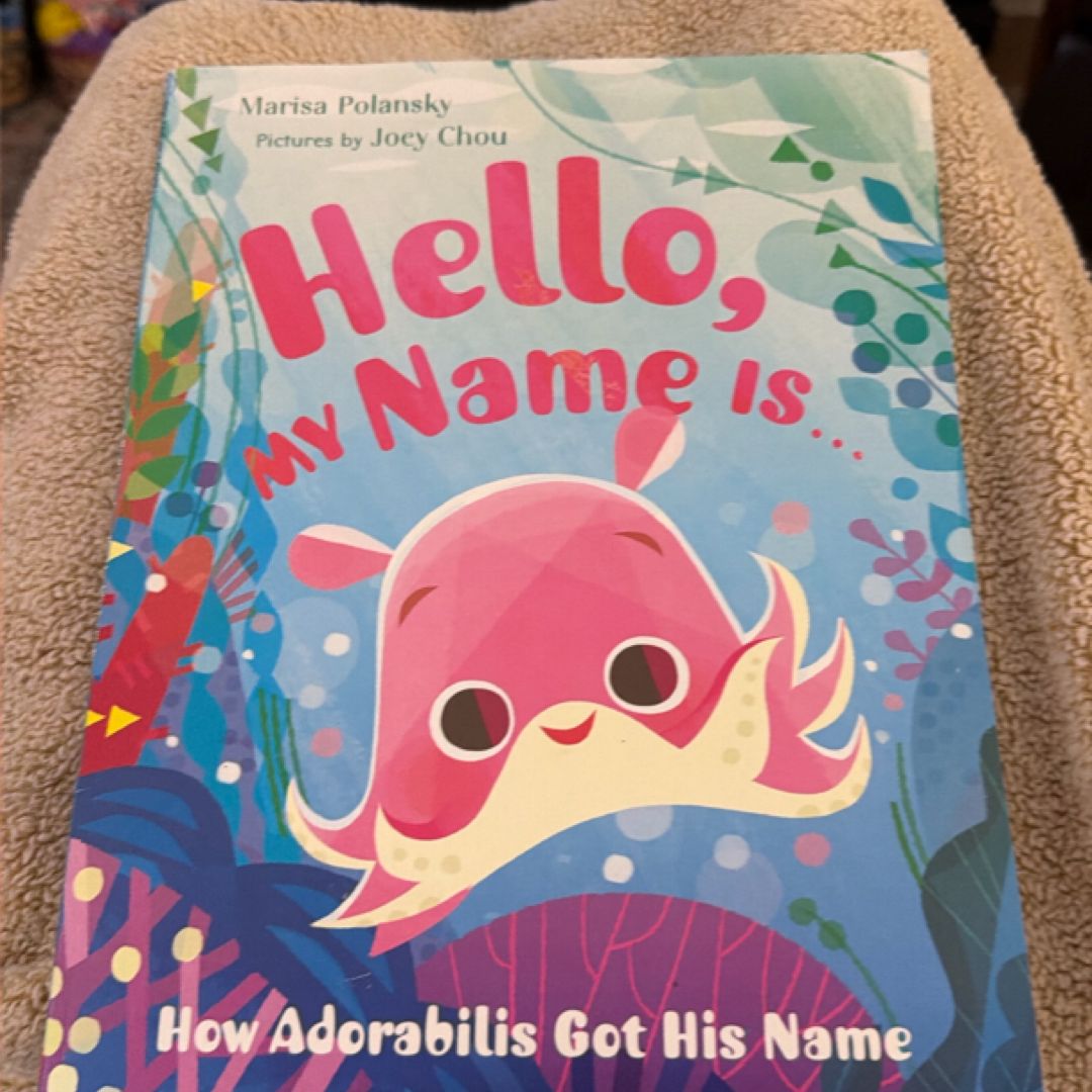 Hello, My Name is ... How Adorabilis Got His Name