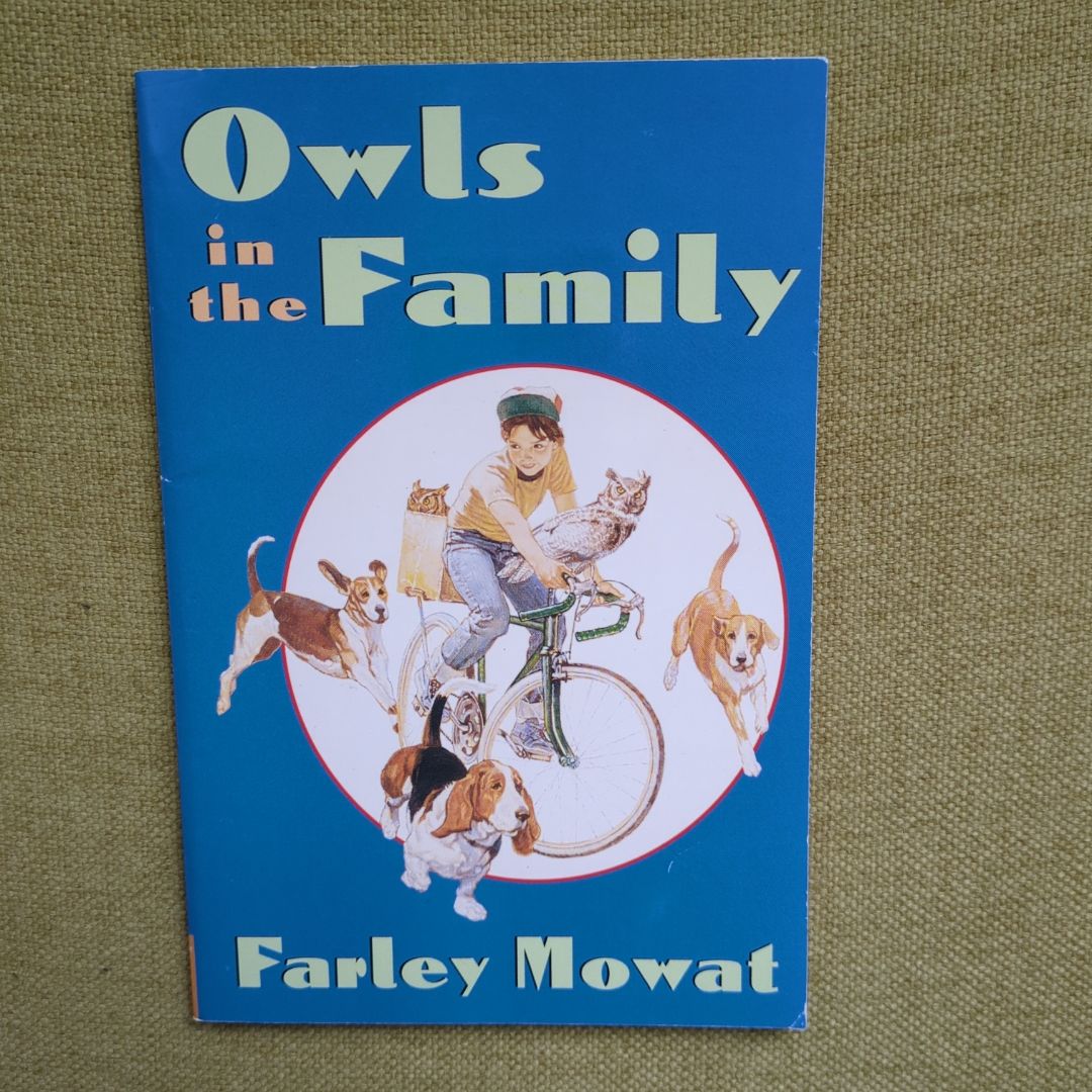 Owls in the Family