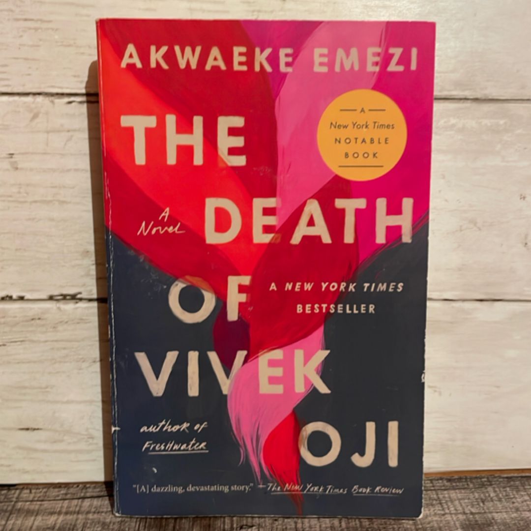 The Death of Vivek Oji