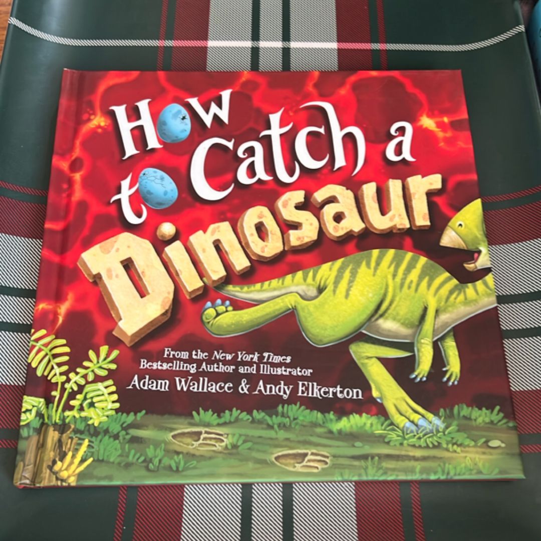 How to Catch a Dinosaur
