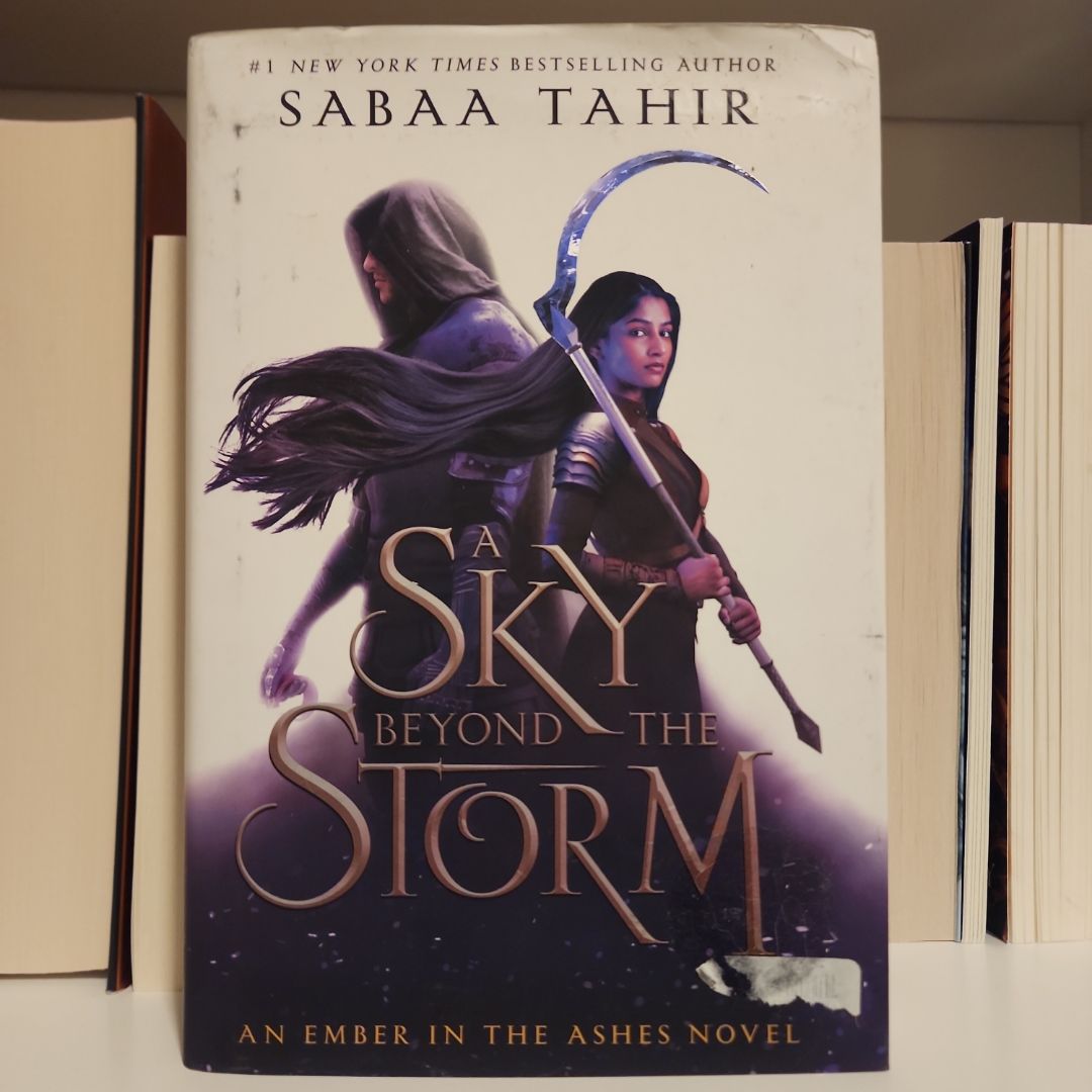 A Sky Beyond the Storm