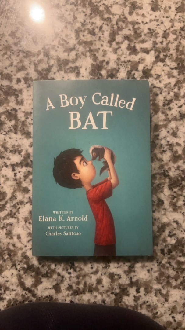 A Boy Called Bat