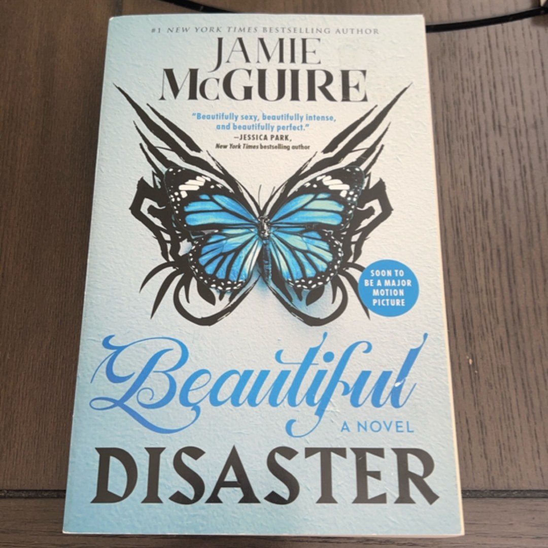 Beautiful Disaster