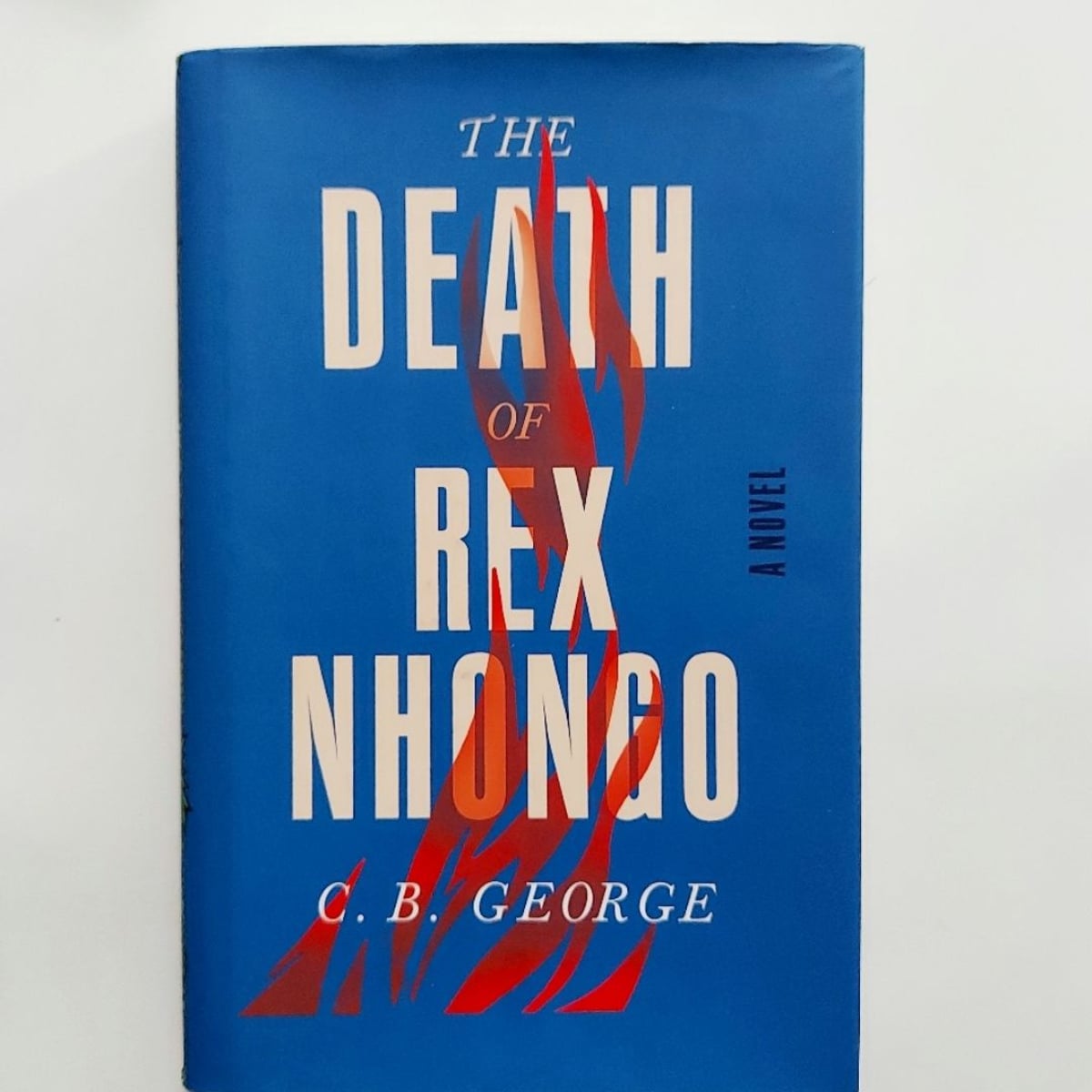 The Death of Rex Nhongo by C. B. George