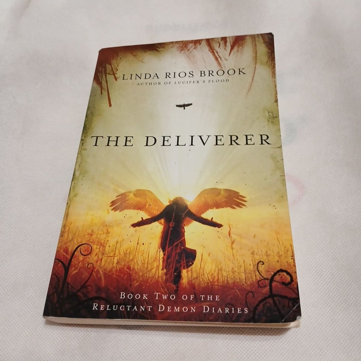 The Deliverer by Linda Rios Brook