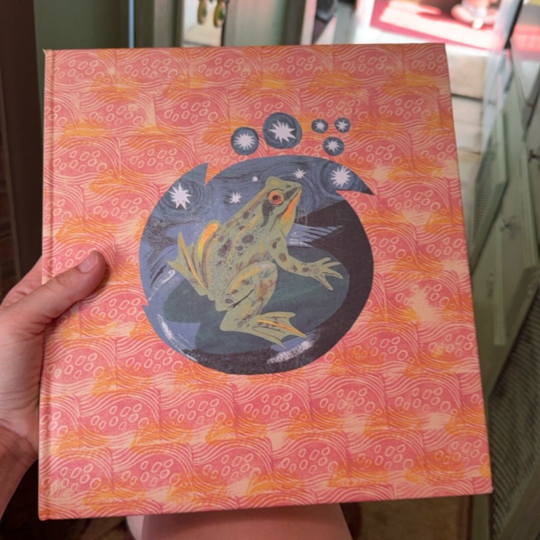 Outside Your Window