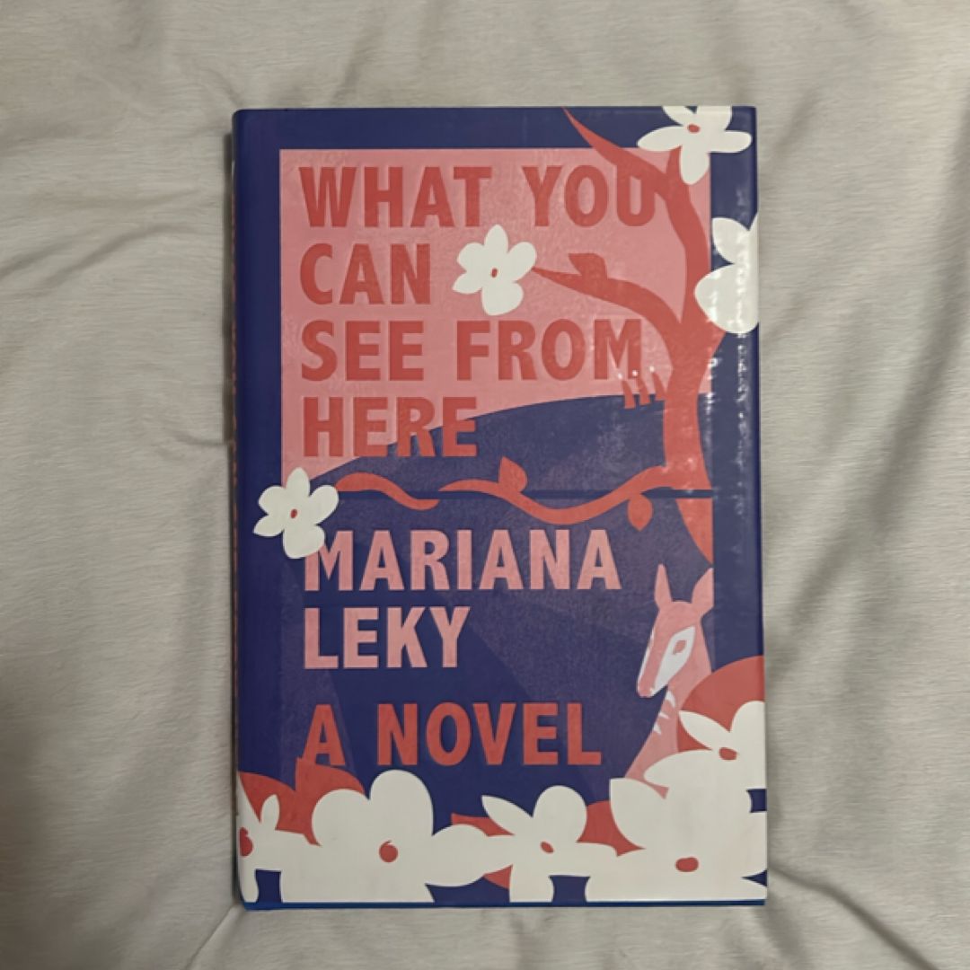 What You Can See from Here