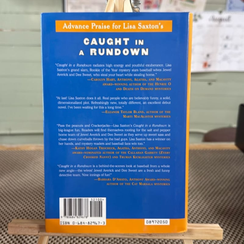 Caught in a Rundown by Lisa Saxton