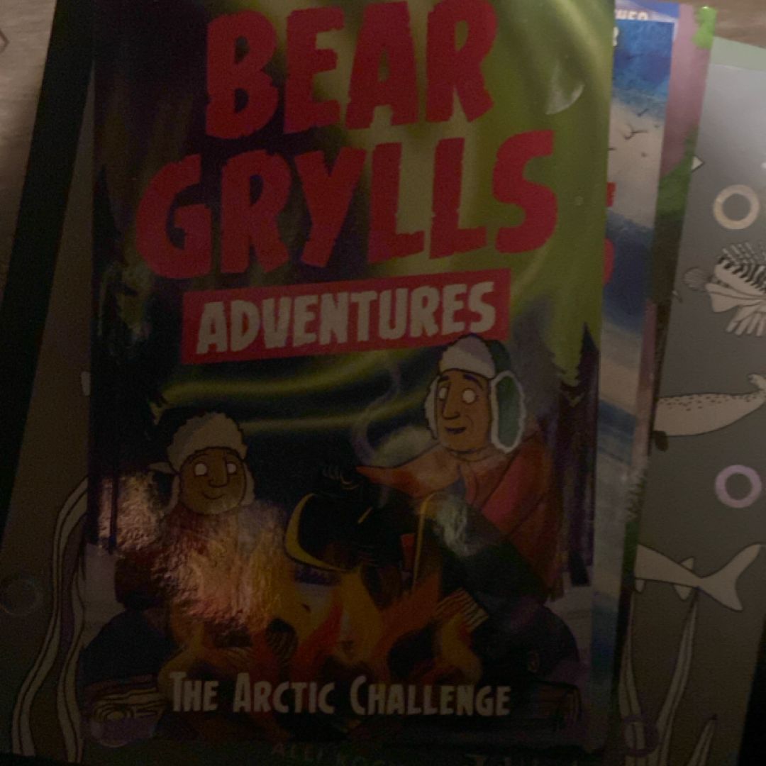 The Arctic Challenge