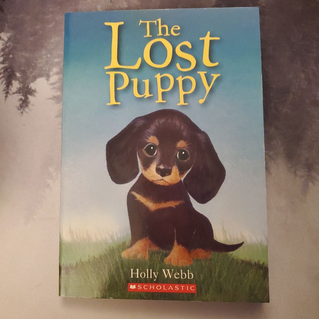 The lost puppy