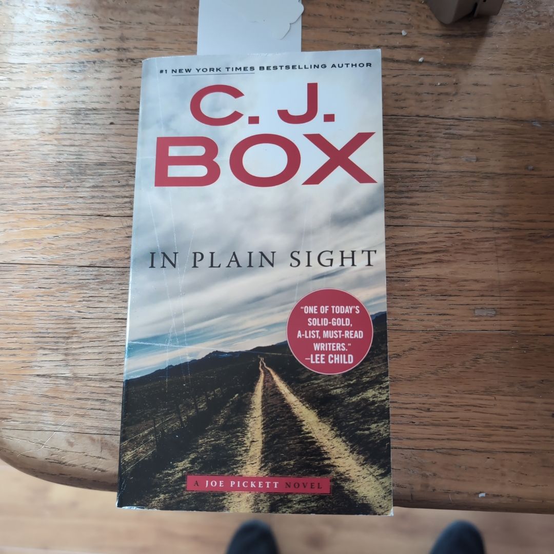 In Plain Sight