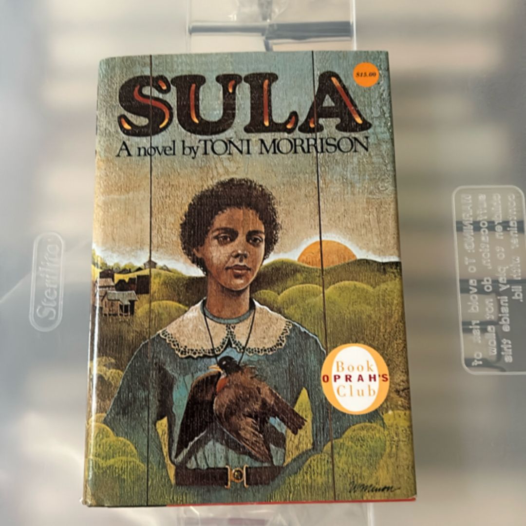 Sula