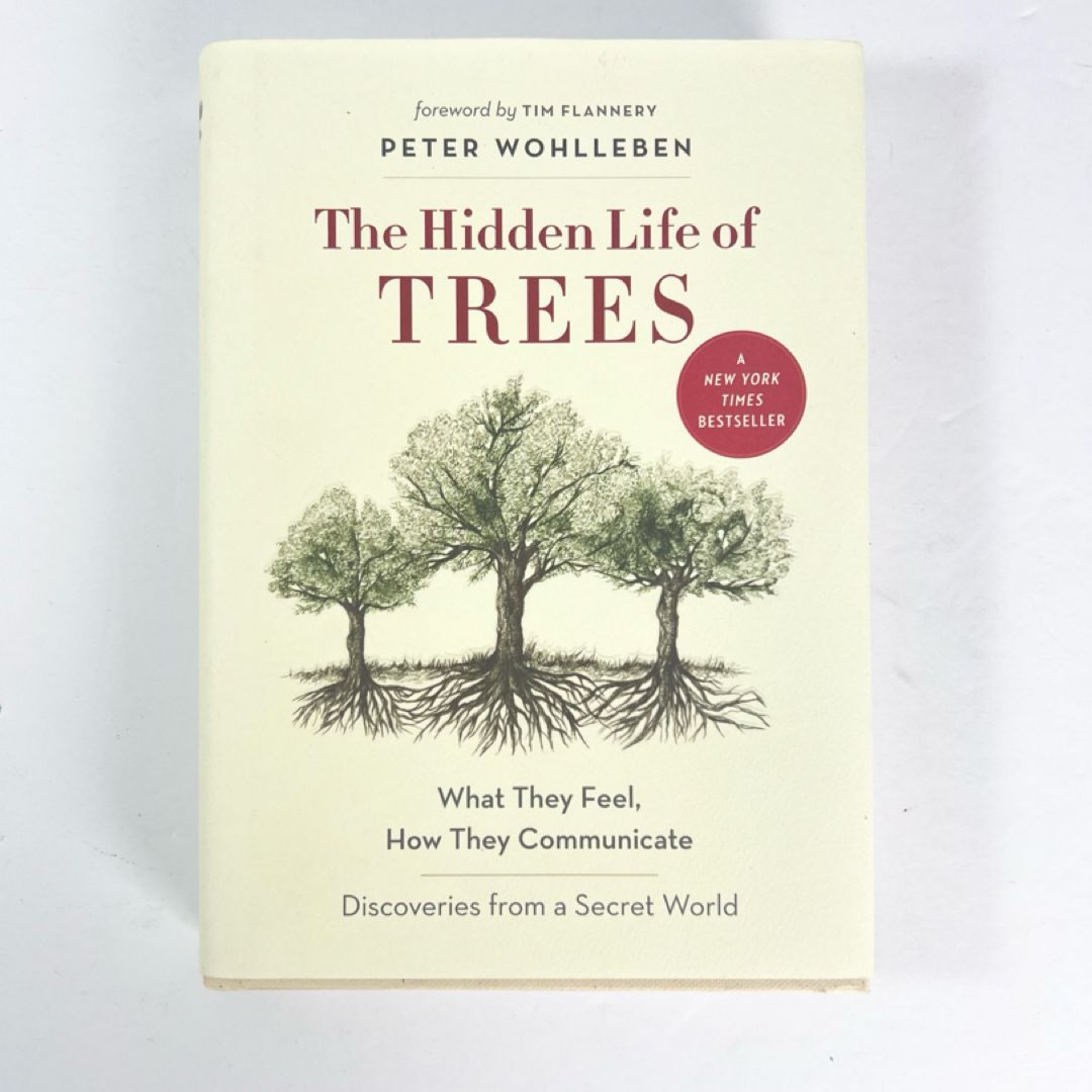 The Hidden Life of Trees
