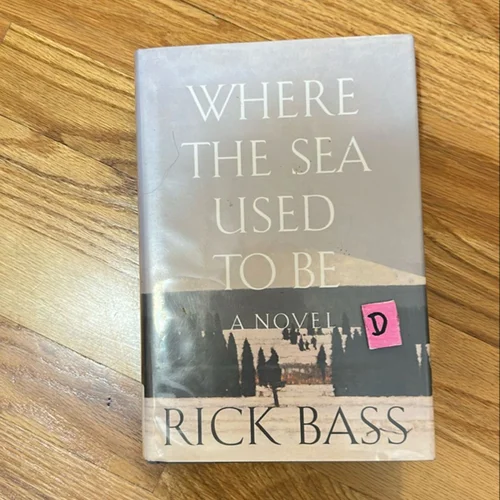 Where the Sea Used to Be