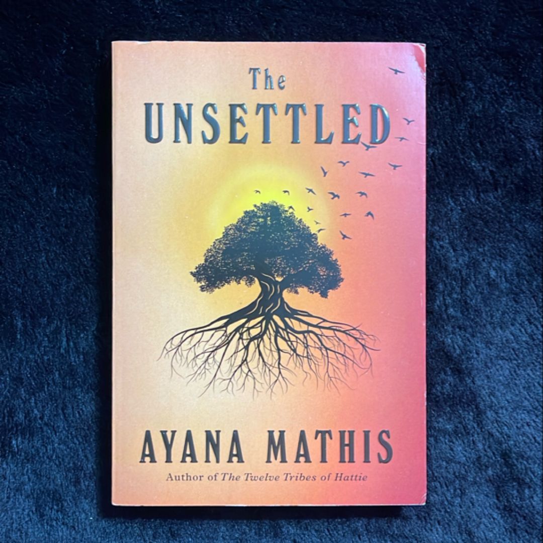 The Unsettled
