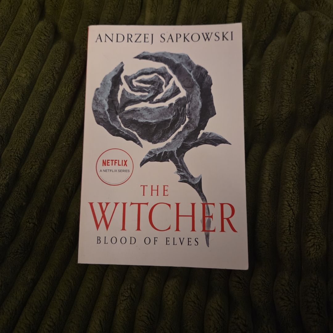 The Witcher, Blood of Elves