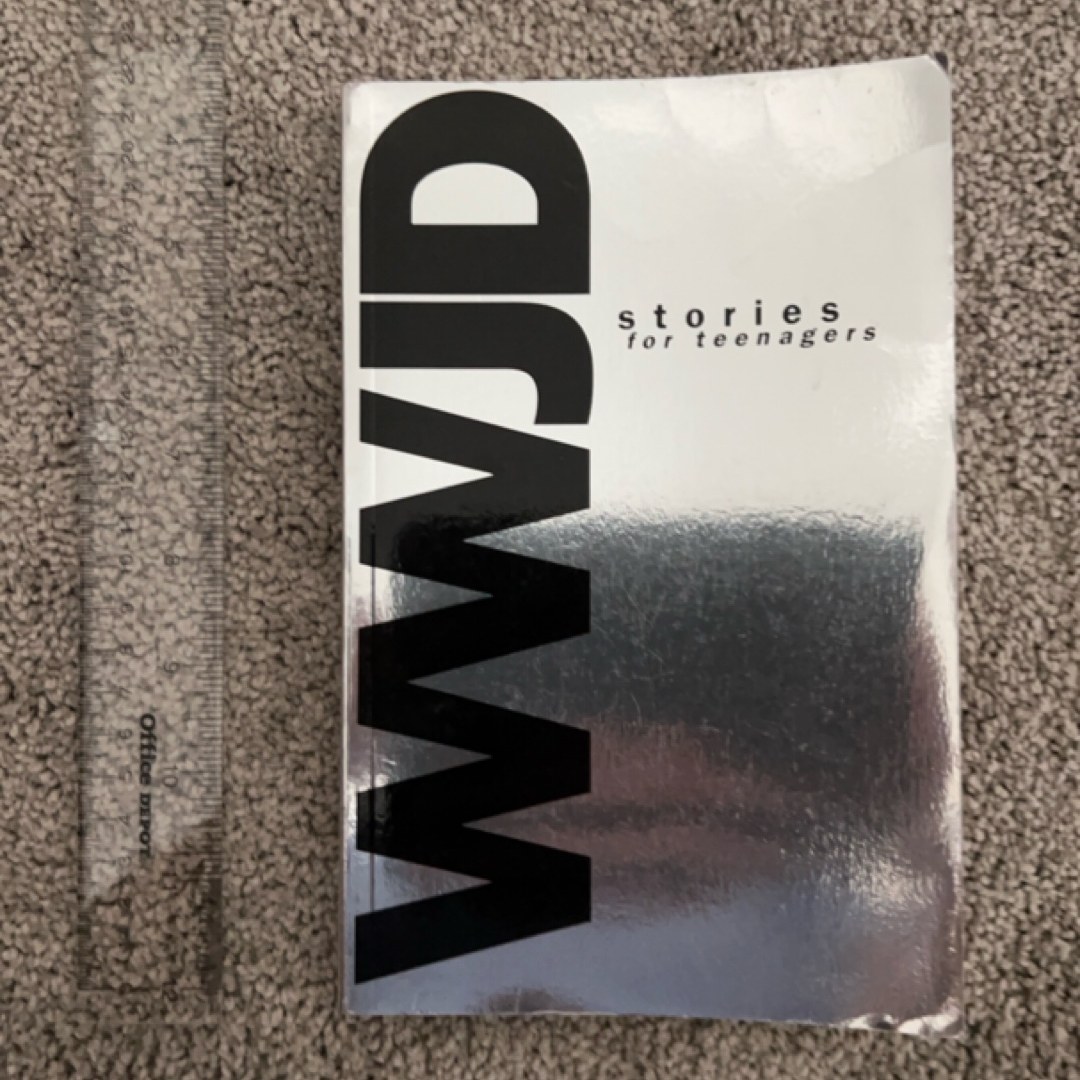 WWJD Stories for Teenagers Silver