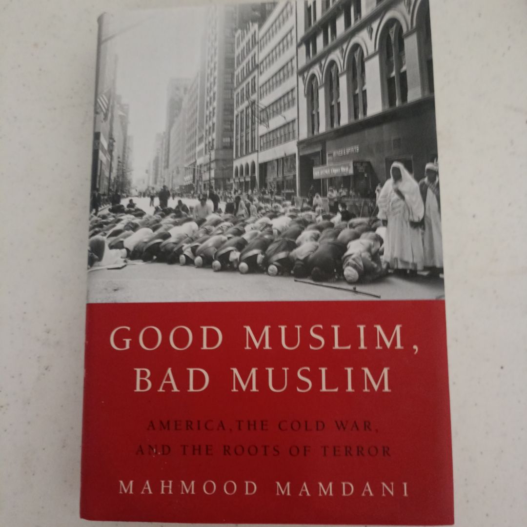 Good Muslim, Bad Muslim