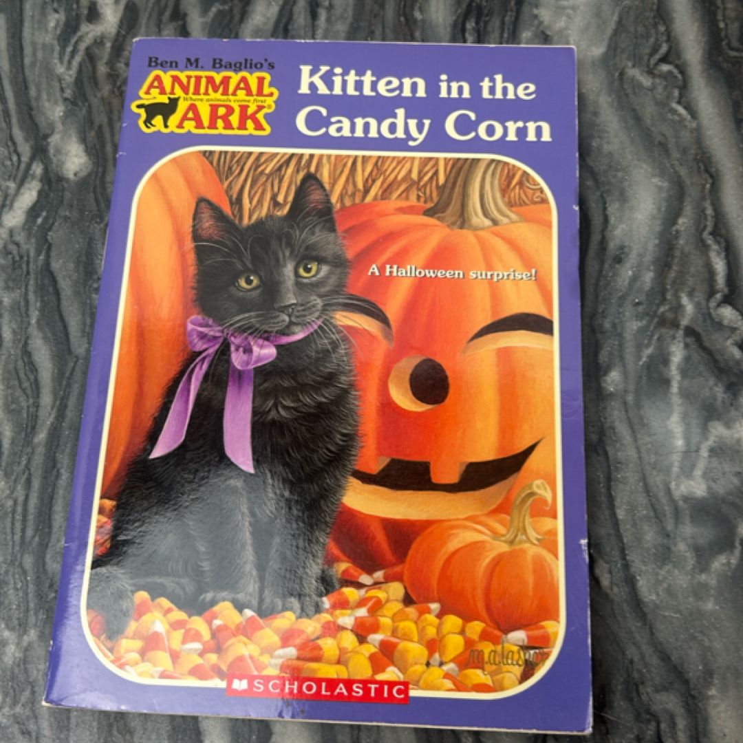 Kitten in the Candycorn