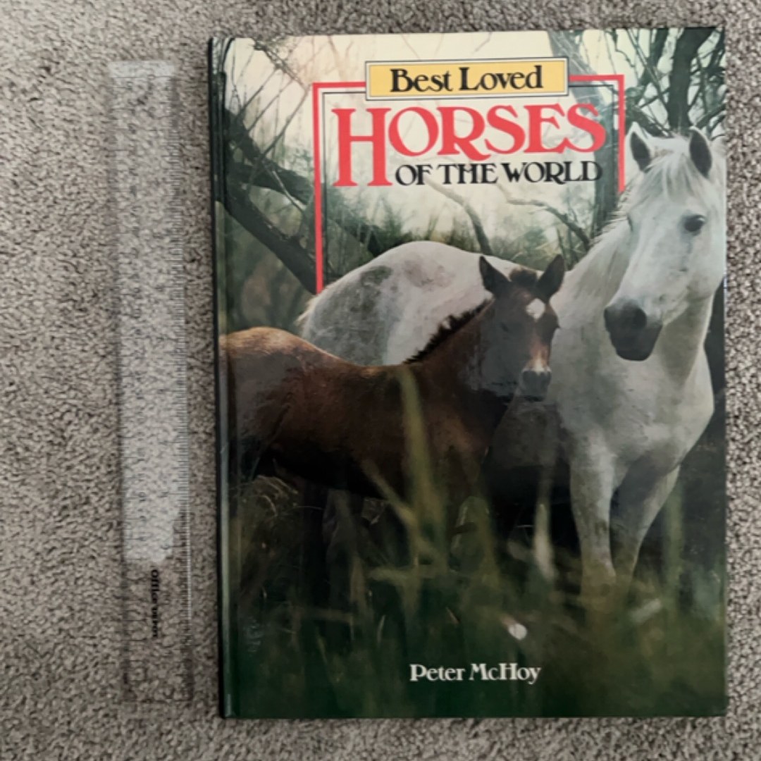 Best loved horses of the world