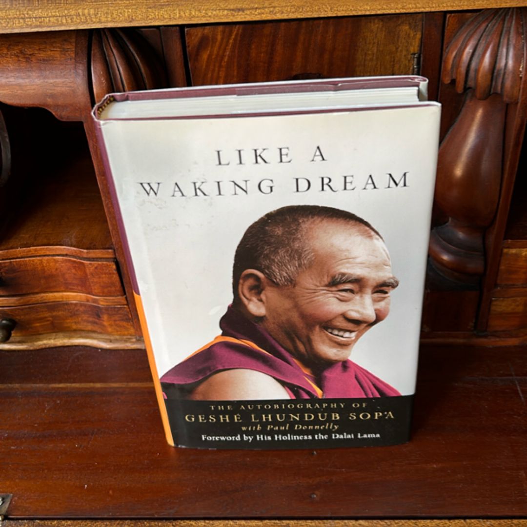 Like a Waking Dream
