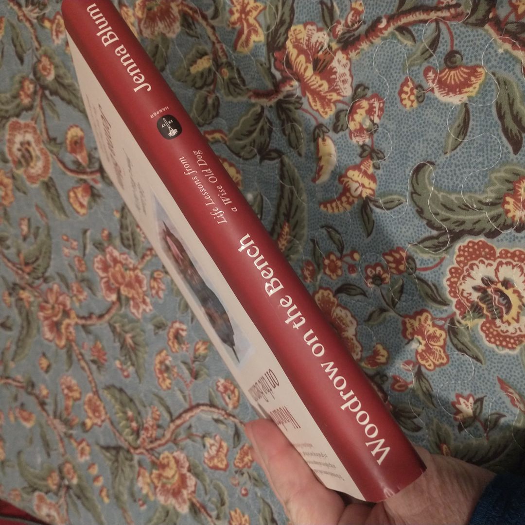 Woodrow on the Bench