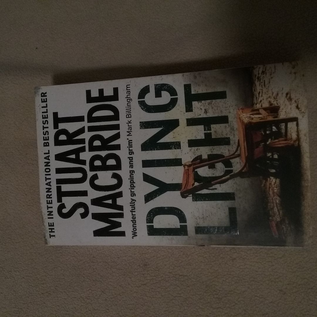 Dying Light (Logan Mcrae, Book 2)