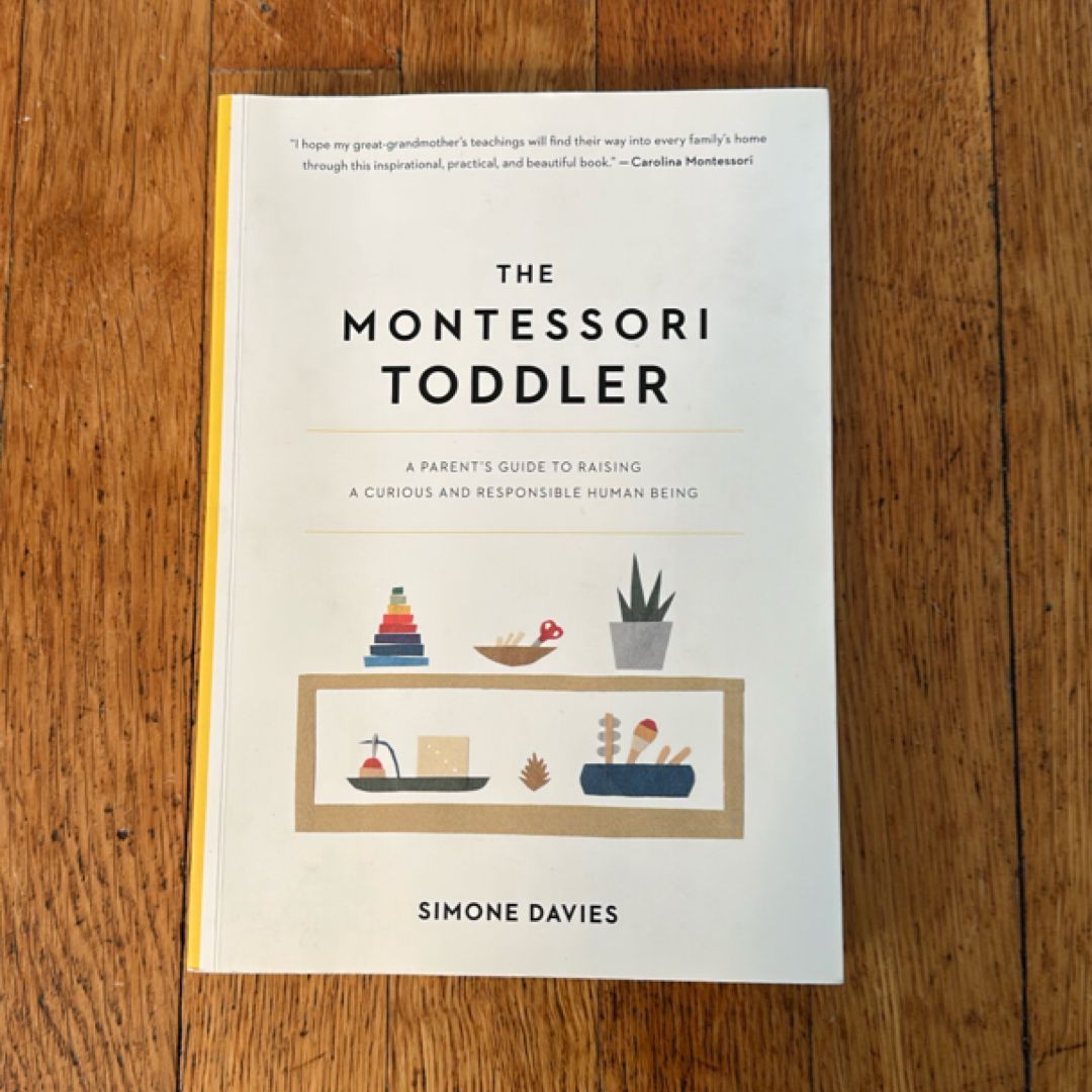The Montessori Toddler