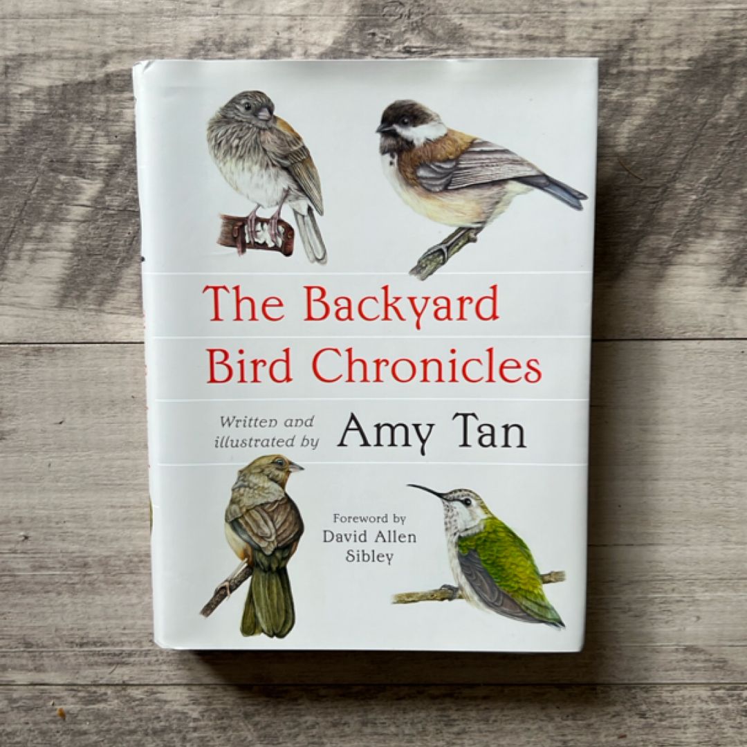 The Backyard Bird Chronicles