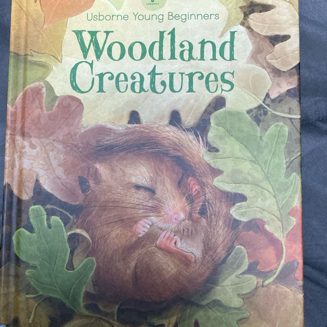 Woodland Creatures