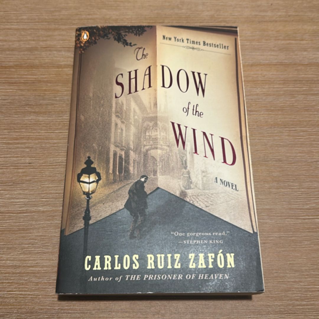 The Shadow of the Wind