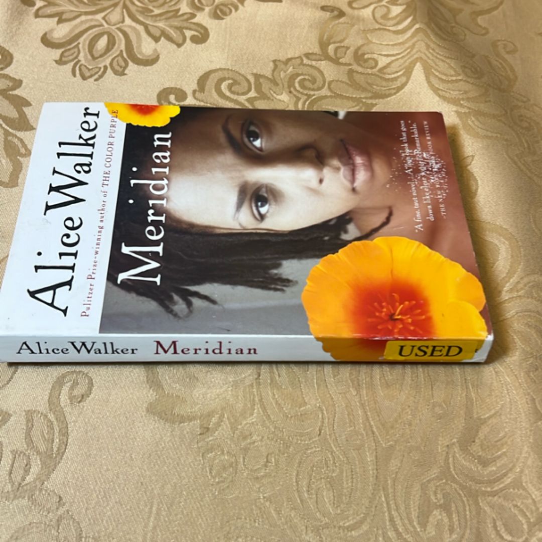 Meridian by Alice Walker