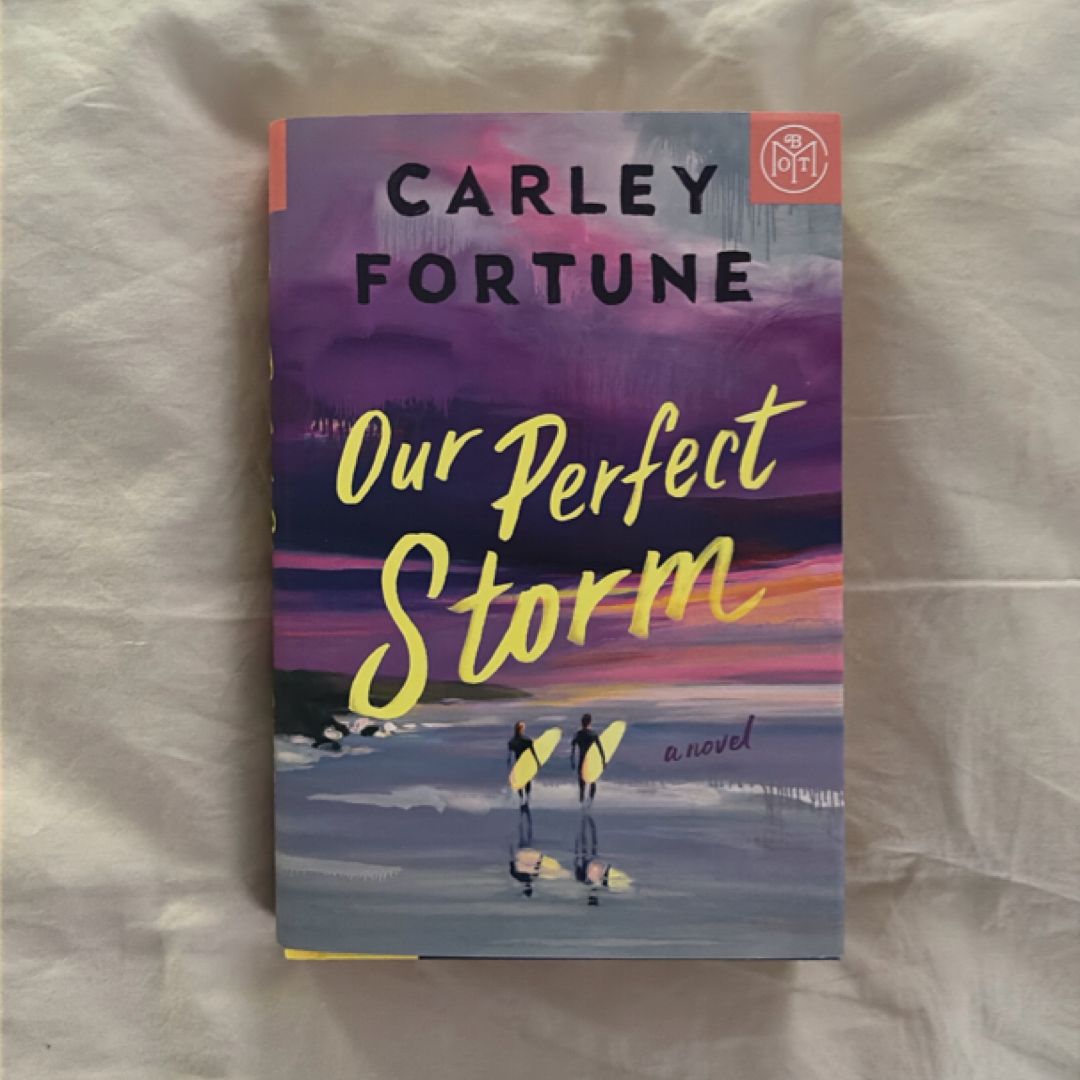 Our Perfect Storm