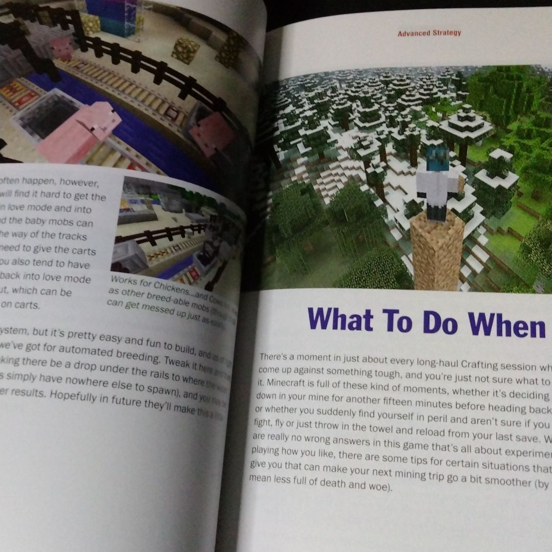 Mega Builder The Most Complete Guide to Minecraft Secrets, Creations ...