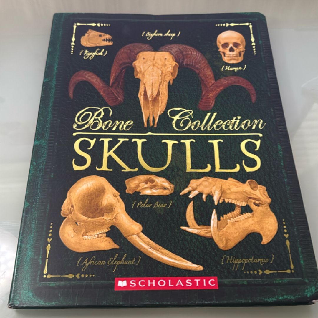 Bone Collection: Skulls
