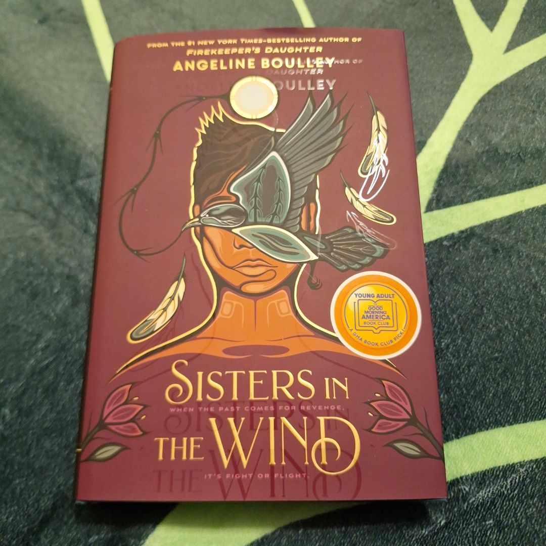 RARE Sisters in the Wind Holt Fiction Fall 2025