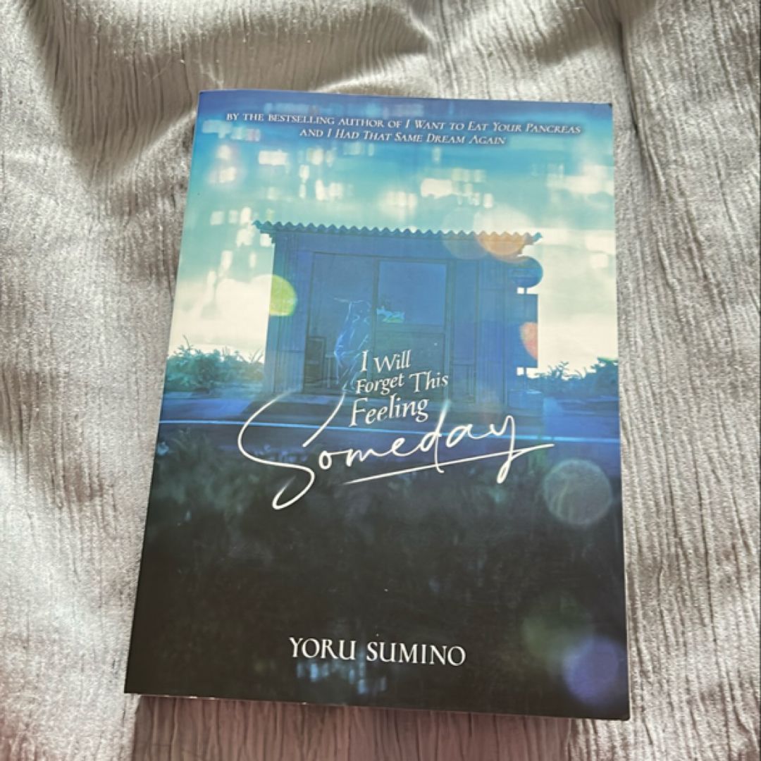 I Will Forget This Feeling Someday (Light Novel)