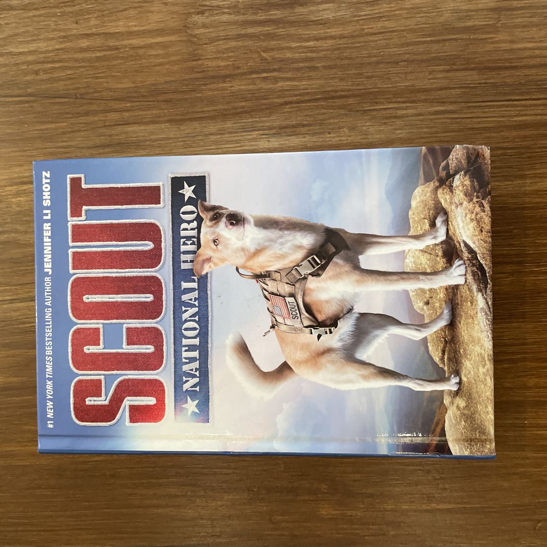 Scout: National Hero