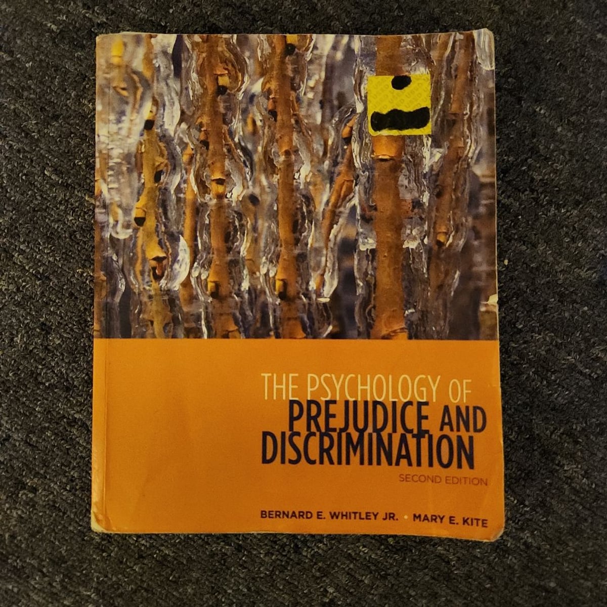 The Psychology of Prejudice and Discrimination | PangoBooks