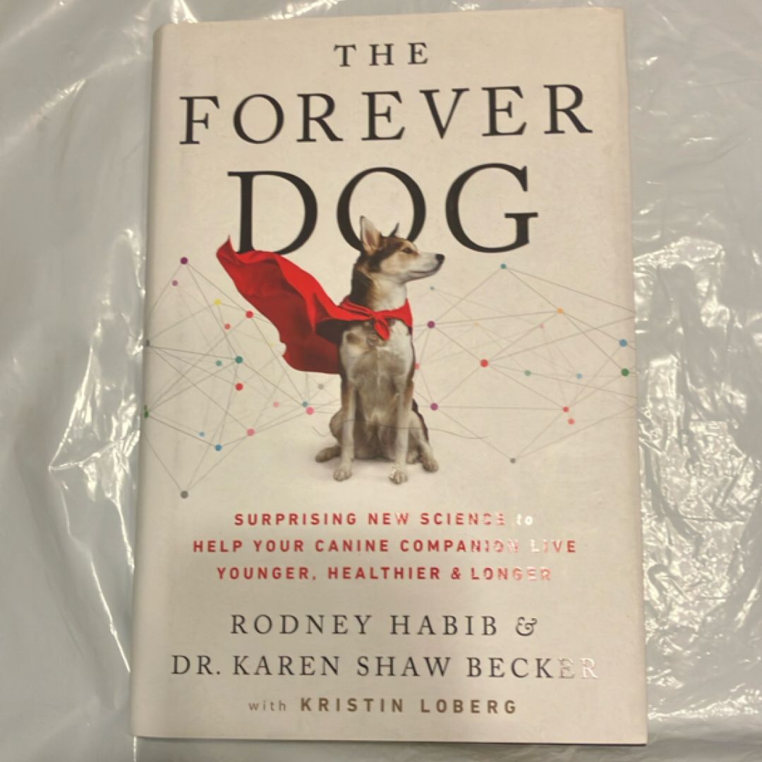 The Forever Dog